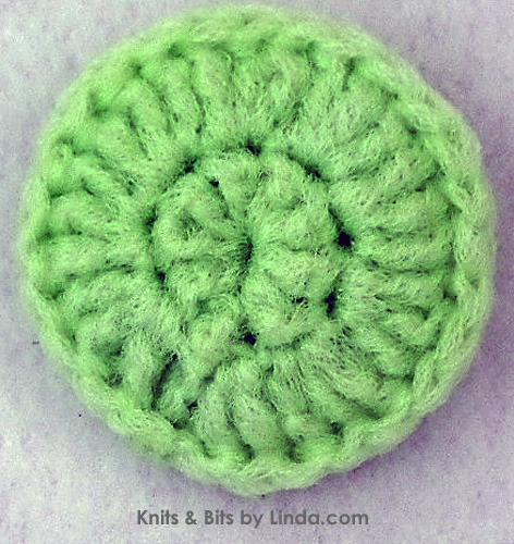 mint green round 3 inch scrubbie
